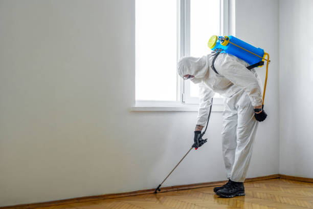 Indoor Pest Control in Lowell, OR